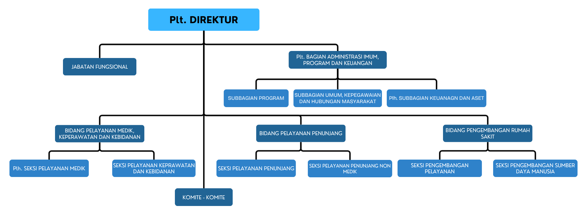 Struktur Organisasi Rumah Sakit